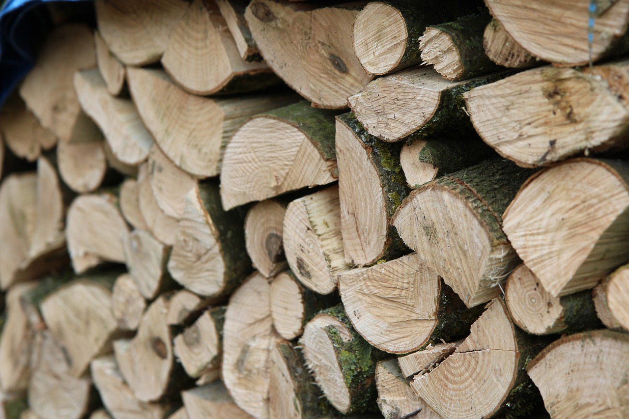 Bois d'affouage